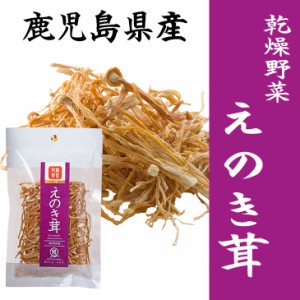 えのき茸 10g 乾燥野菜 時短 スープ 味噌汁 仕送り 非常時 防災 備蓄 ポイント消化 グルメ 食品 お取り寄せ 在庫処分 フード おすすめ お