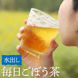 鹿児島県産 毎日ごぼう茶（水出し）3g×15袋 ティーバッグ 水出しごぼう茶 九州産 国産 ごぼう イヌリン 食物繊維 ティーパック ポイント