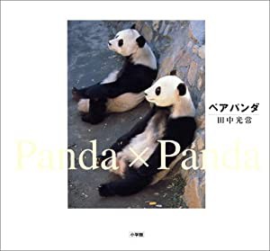 ペア・パンダ(中古品)