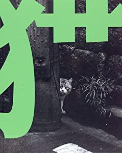 猫—TOKYO WILD CATS 武田花写真集(中古品)