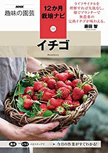 イチゴ (NHK趣味の園芸 12か月栽培ナビ)(中古品)