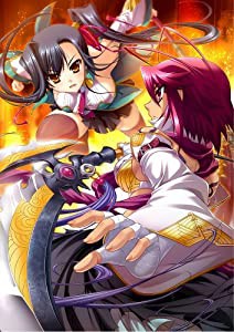 真・恋姫夢想~乙女対戦☆三国志演義 (限定版)(オリジナルサウンドトラックC(中古品)