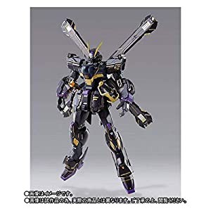 METAL BUILD クロスボーン・ガンダムX2 機動戦士クロスボーン・ガンダム(中古品)