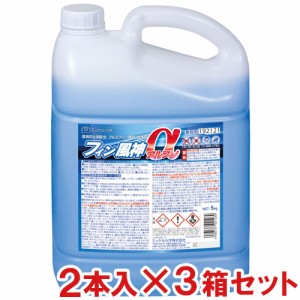 【送料無料】【直送専用品】ミッケル化学(ユーホーニイタカ) フィン風神α 5kg　2本×3箱セット