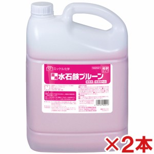 ミッケル化学(ユーホーニイタカ)　薬用水石鹸プルーン　5L　2本セット