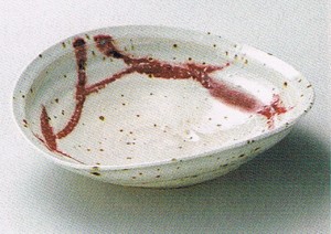 赤絵楕円鉢 陶器 信楽焼 キッチン 和食器 大皿 彩り屋