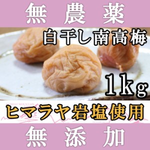 梅干し 無添加 無農薬 白干し南高梅 1kg ヒマラヤ岩塩使用 熊野のご褒美 ミネラル岩塩使用 酵素