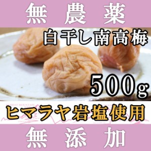 梅干し 無添加 無農薬 白干し南高梅 500g ヒマラヤ岩塩使用 熊野のご褒美 ミネラル岩塩使用 酵