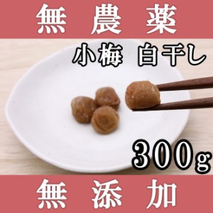 梅干し 無添加 無農薬 小梅 白干し 300g 熊野のご褒美 無化学肥料 紀州産 梅干 ご自宅用にもお歳