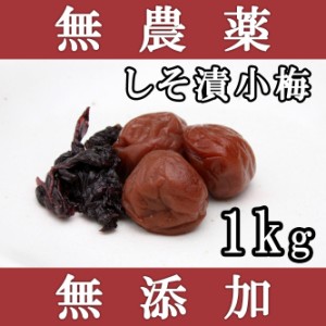 梅干し 無添加 無農薬 紀州 しそ漬小梅 1kg 熊野のご褒美 無化学肥料 梅干 ご自宅用にもお歳暮