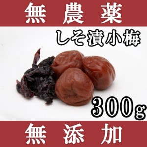 梅干し 無添加 無農薬 紀州 しそ漬小梅 300g 熊野のご褒美 無化学肥料 梅干 ご自宅用にもお歳暮