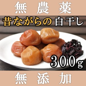 梅干し 無添加 無農薬 白干し南高梅 300g 熊野のご褒美 無化学肥料 梅干 ご自宅用にもお歳暮な