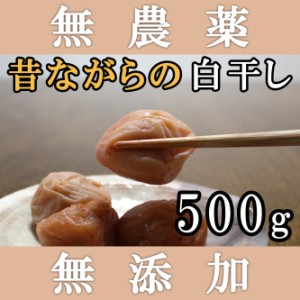 梅干し 無添加 無農薬 白干し南高梅 500g 熊野のご褒美 無化学肥料 梅干 ご自宅用にもお歳暮な