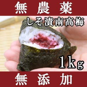 梅干し 無添加 無農薬 しそ漬南高梅 1kg 熊野のご褒美 紀州産 無化学肥料 梅干 ご自宅用にも 