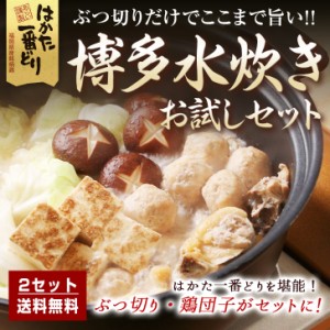 【送料無料】水炊きお試しセット　2人前