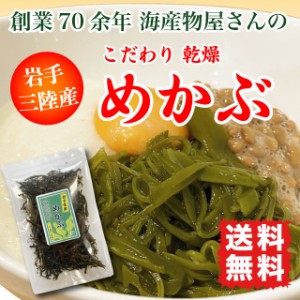 乾燥めかぶ 三陸産  お試し 送料無料 40g 刻みめかぶ 国産 フコイダン