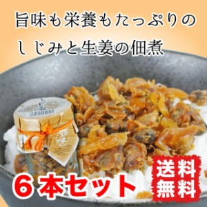 しじみ 生姜 佃煮 ご飯のお供 95g 6本セット 送料無料 旨味と栄養がたっぷり