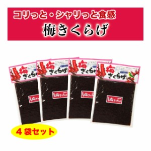 梅きくらげ ご飯のお供 佃煮 760g (190g×4袋) 梅果実 かつお節入り 送料無料 ポイント消化