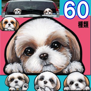 犬 ステッカー/シール/シーズー/ゴールド×ホワイト【60種類】犬　ステッカー/シーズー グッズ/犬/ネーム入れ不可/シーズー 雑貨/グッズ