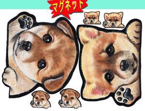 マグネット/犬ステッカー/柴犬10/ ネーム入れ不可/愛犬/雑貨/グッズ/車/犬雑貨