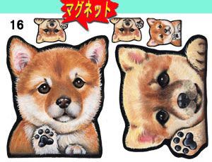 マグネット/犬ステッカー/柴犬16/ ネーム入れ不可/愛犬/雑貨/グッズ/車/犬雑貨