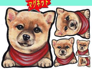 マグネット/犬ステッカー/柴犬4/ ネーム入れ不可/愛犬/雑貨/グッズ/車/犬雑貨