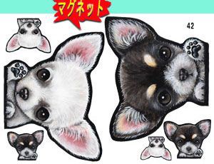 マグネット/犬ステッカー/チワワ42/ネーム入れ不可/愛犬/雑貨/グッズ/車/犬雑貨