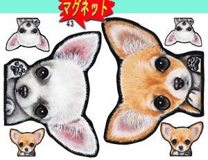 マグネット/犬ステッカー/チワワ43/ネーム入れ不可/愛犬/雑貨/グッズ/車/犬雑貨