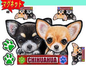 マグネット/犬ステッカー/チワワ48/ネーム入れ不可/愛犬/雑貨/グッズ/車/犬雑貨