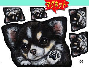 マグネット/犬ステッカー/チワワ60/ネーム入れ不可/愛犬/雑貨/グッズ/車/犬雑貨