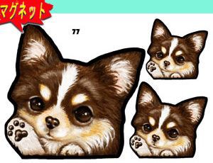 マグネット/犬ステッカー/チワワ77/ネーム入れ不可/愛犬/雑貨/グッズ/車/犬雑貨