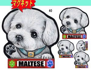 マグネット/犬ステッカー/マルチーズ40/グッズ/ネーム入れ不可/愛犬/雑貨/車/犬雑貨