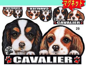 マグネット/犬ステッカー/キャバリア29/ネーム入れ不可/愛犬/雑貨/グッズ/車/犬雑貨