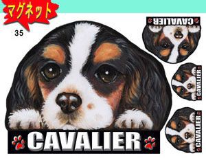 マグネット/犬ステッカー/キャバリア35/ネーム入れ不可/愛犬/雑貨/グッズ/車/犬雑貨