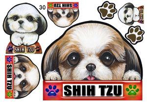 犬  ステッカー/シーズー30/犬/シール/ネーム入れ不可/愛犬/雑貨/グッズ/ペット/車/犬雑貨