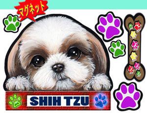 マグネット/犬ステッカー/シーズー35/ネーム入れ不可 /愛犬/雑貨/グッズ/車/犬雑貨