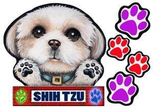 犬  ステッカー/シーズー37/犬/シール/ネーム入れ不可/愛犬/雑貨/グッズ/ペット/車/犬雑貨