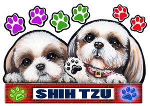 犬  ステッカー/シーズー59/犬/シール/ネーム入れ不可/愛犬/雑貨/グッズ/ペット/車/犬雑貨