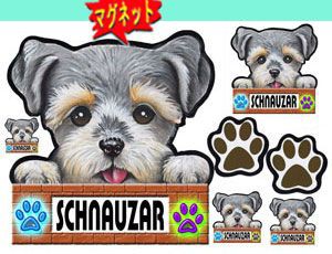 マグネット/犬ステッカー/シュナウザー1/グッズ/愛犬/ ネーム入れ不可/雑貨/車/犬雑貨