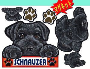 マグネット/犬ステッカー/シュナウザー20/グッズ/愛犬/ ネーム入れ不可/雑貨/車/犬雑貨