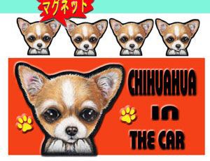 マグネット/犬ステッカー/チワワ36/犬[名前・ネーム入れOK!!]愛犬/雑貨/グッズ/DOG IN CAR/オリジナ