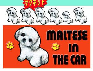 マグネット/犬ステッカー/マルチーズ6[名前・ネーム入れOK!!] 犬/愛犬/雑貨/グッズ/DOG IN CAR/オリ