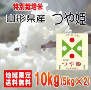 令和5年産山形県産つや姫10kg（5kg×2）※北海道・九州・沖縄は別途送料かかります。米　10キロ　送料無料