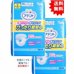 【2個セット】アテント 紙パンツ用尿とりパッド ぴったり超安心 男女兼用 約2回吸収 48枚入【お届けまで約１週間】【送料無料】