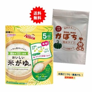 和光堂 たっぷり 手作り応援 おいしい米がゆ 70g【徳用】1個 ＋ 沖縄県産 素材まるごと 無添加・無着色 かぼちゃパウダー (50g) 1個 