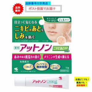 薬用 アットノン 目立って気になるニキビのあとに ニキビあとケアジェル 10g ［医薬部外品］ × 1箱