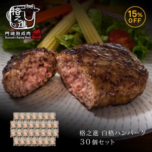 ハンバーグ 和牛 内祝い 国産 ギフト 冷凍 送料無料 格之進 白格ハンバーグ 120g 30個セット （新パッケージ） 黒毛和牛 白金豚 塩麹