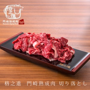 ＜六本木/格之進＞門崎熟成肉 切り落とし (250g) のし対応可能 レビューを書いて送料無料 バーベキュー ギフトセット 和牛 焼肉 BBQ 熟成