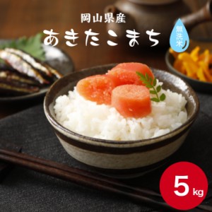 米 5kg こめ 無洗米 食品 お試し 送料無料 令和5年産 岡山県産あきたこまち無洗米 5kg