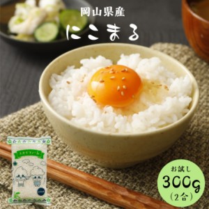 米 300g こめ お米 ポイント消化 食品 お試し 送料無料 令和5年産 岡山県産にこまる300g(2合) メール便